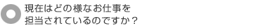 現在はどの様なお仕事を担当されているのですか?